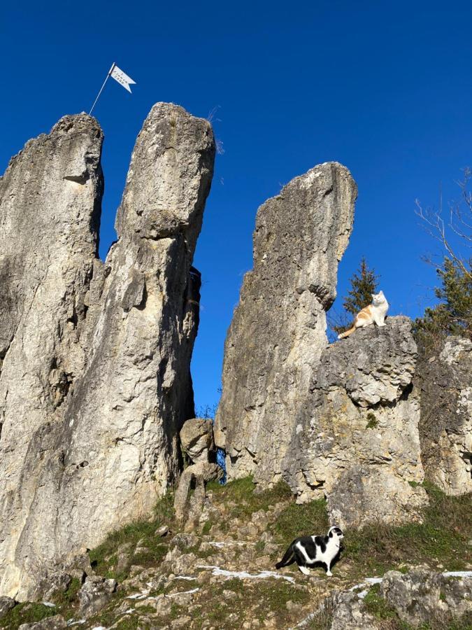 Hiltpoltstein Gasthof Zur Saegemuehle 아파트 외부 사진