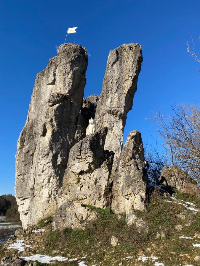 Hiltpoltstein Gasthof Zur Saegemuehle 아파트 외부 사진